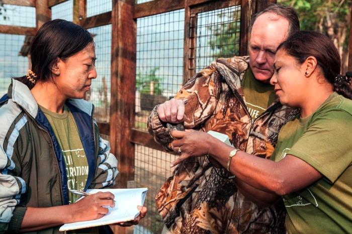 Turtle and Tortoise Conservation